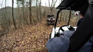 570 RZR and Wildcat Trail  Logging Trails and Creek Riding [upl. by Adnola339]