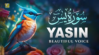 Surah Yasin Yaseen سورة يس  Relaxing Soothing Healing Quran Recitation  Zikrullah TV [upl. by Sophia]