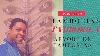 Tamborica Contemporanea  Árvore de tamborins [upl. by Boylan833]