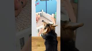 DOG reaction to😍👍😜 Mother Simulator Game 🤔😂🤣😱😲 Baby Shark Song [upl. by Laurentium]