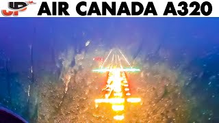 BAD WEATHER Landing in St Johns  AIR CANADA🇨🇦 Airbus A319 [upl. by Janna]