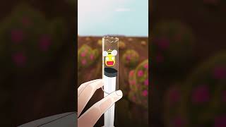 This Bee got stuck animated version animatiomemeshortsvideofunny [upl. by Ogir]