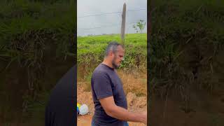 Parte 7 da trilha cachoeira do salto extremamg vlog turismo [upl. by Nirtak]