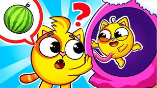 Neue Geschwisterlied 👶🍼 Lerne Unseren Babybruder Kennen  Kinderlieder 🐱🐨🐰🦁 von Baby Zoo [upl. by Naus]