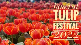 Bowral Tulip Festival 2022 [upl. by Steiner]