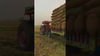 Bnda Chak Lyny a 8k music rap hiphop trap 2k24 importantagri farmequipment farmmachinery [upl. by Luwana]