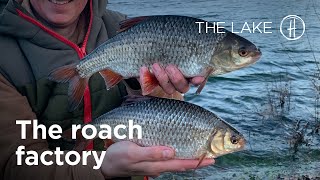 The Roach Factory  quotTHE LAKEquot Episode 2 [upl. by Alsworth]