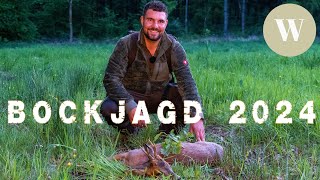 Bockjagd im Mai 2024  WaldGeist  4K [upl. by Inat104]