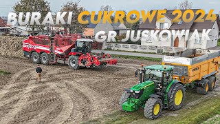 🔥Buraki🔥Cukrowe🔥2024🔥GrJuskowiak🔥 [upl. by Gaddi]