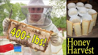 400 Pounds of Raw HONEY How to Harvest Honey 🍯 🍯 [upl. by Enovaj505]