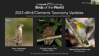 Birds of the World Discovery Webinar 2023 eBirdClements Taxonomy Update [upl. by Kosaka]