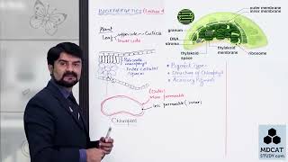 Photosynthetic Pigments Chapter 11 1st year Biology 1080p PGC Lectures [upl. by Bree]