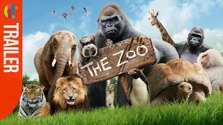 Brand New The Zoo  CBBC [upl. by Ekyt]