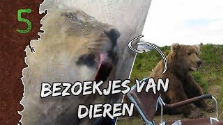 Freeks 5  Bezoekjes van Dieren [upl. by Nedry559]