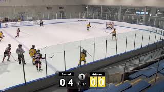 Pittsburgh Esmark Stars 2007 Live Live Stream [upl. by Sierra592]