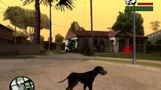 Perro en Gta sa BETA [upl. by Llertak618]