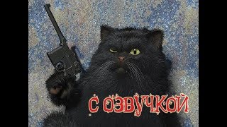 смешные коты с озвучкой  funny cats [upl. by Aicilf]