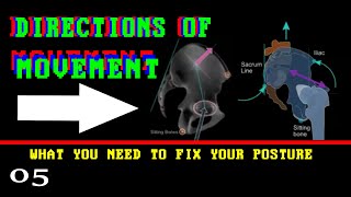 05 Directions of Movement  What You Need to Start Correcting Your Posture [upl. by Shaun]