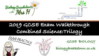 GCSE Combined Science  Trilogy  Biology Paper 1 [upl. by Essilem750]