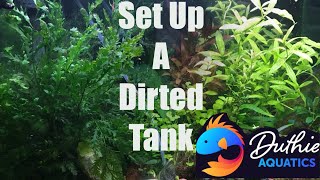 Dirted Aquarium For The Beginner [upl. by Azpurua124]