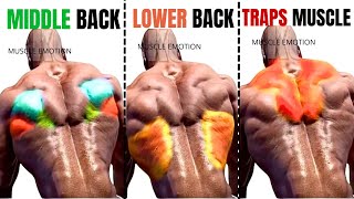 TOP 6 LAT MIDDLE BACK TRAPS WORKOUT WITH DUMBBELLS CABLE AND MACHINE AT GYM [upl. by Cordi]