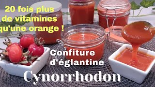 Confiture de Cynorhodon Marmelade Baie Déglantier La Rosa Canina Gratte Cul Églantier cynorrhodon [upl. by Daveda]