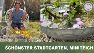 Wasserschale Miniteich für Balkon und Garten der schönste Stadtgarten ist fertig [upl. by Snehpets21]