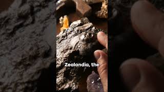 Unveiling ZealandiaThe Hidden 8th Continent😮zealandia 8th continentscience geography [upl. by Aikyt]