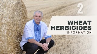 Herbicide 2 Timing in Wheat Farming Atrazine Metolachlor and More [upl. by Dulcy552]