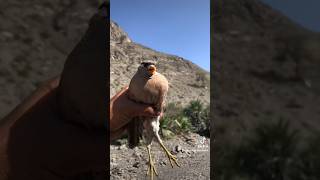 Balochi songBalochistan my Homeland shortvideo travel balochistan shortpants natureshorts [upl. by Elletnwahs]