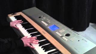 Ludovico Einaudi  Fly Piano Cover from Intouchables [upl. by Nalda]