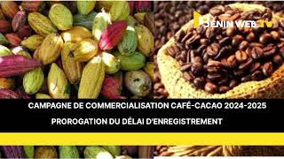 Togo Le délai denregistrement pour la campagne de commercialisation CaféCacao 20242025 prorogé [upl. by Anawot285]