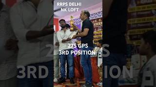 RRPS NEERAJ BHAI 3RD POSITION 275 GPS PIGEON RACE trending viral bird pigeon homer kabutarbazi [upl. by Mohn]