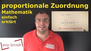 Proportionale Zuordnung  Mathematik  Lehrerschmidt  einfach erklärt [upl. by Ahsinad]