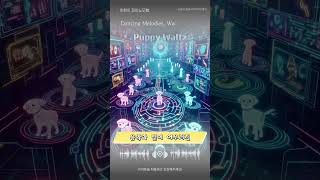 PUPPY WALTZ piano 강아지 shortsforyou creativecontent [upl. by Lomasi]