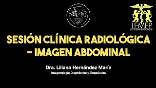 2 Abdomen  Mini Curso de Imagenología LEMEP UNAM [upl. by Llered154]