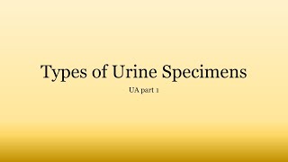 Urinalysis Basics Types of Urine Specimens [upl. by Nayrbo]