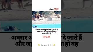 Aksar Apne hi dhoka de jaate hai 🥺😳 imotional motivation viralvideo shortsfeed [upl. by Tom]