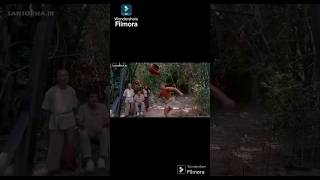 Two special kicks from Vandamme jcvd kick karate [upl. by Caffrey]