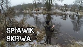 Wędkarstwo spławikowe  Rzeka Skrwa Prawa  Zima 2016  Wędkarstwo RR [upl. by Anivlis503]