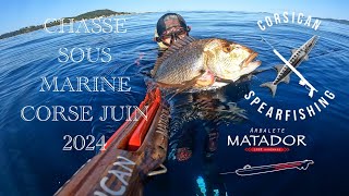 CHASSE SOUS MARINE CORSE JUIN 2024 [upl. by Nauqit]