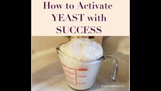 How to Activate Yeast with Success [upl. by Adeys]