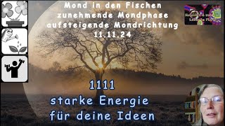 MondTIPP  1111  starke Energie um deine Ideen umzusetzen [upl. by Eskill]