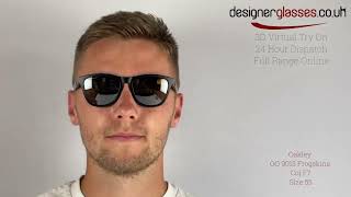 Oakley OO9013 Frogskins Sunglasses [upl. by Ferna765]