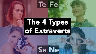 The 4 Types of Extraverts [upl. by Ielirol]