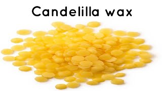 Candelilla wax [upl. by Renita295]