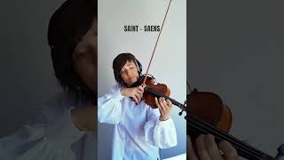 The Swan SaintSaëns  new arrangement playwithorchestra swan violinteacher violintutorial [upl. by Laverne]