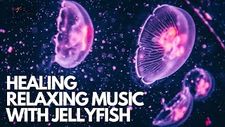 1 Hour of Relaxing quotJellyfishquot Music  Soothing Sounds for Sleep amp Stress Relief  AQUARISTIC VIBES [upl. by Intyre76]