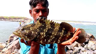 Caught Grouper amp LadyfishTrevally live bait fishing [upl. by Shira]