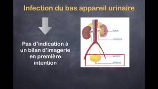 Infections urinaires  1 Quels examens prescrire [upl. by Fitalludba]